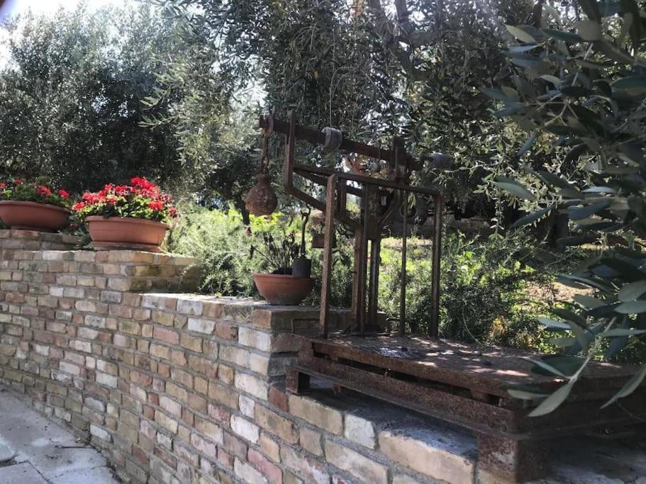 Appartamento Olivo Collecorvino 外观 照片