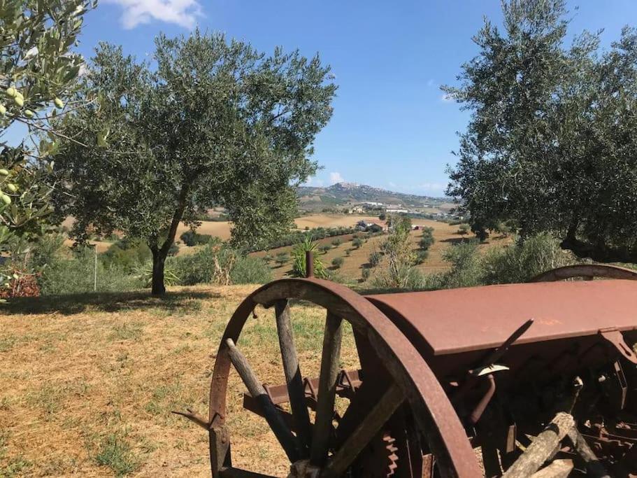 Appartamento Olivo Collecorvino 外观 照片